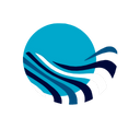 Live Transcript Extension