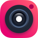 Download Instagram Reels online