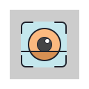 Reverse Image Search