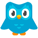 Duolingo Spaced Repetition
