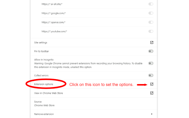 Image and Youtube Video Viewer for GPTs截图4