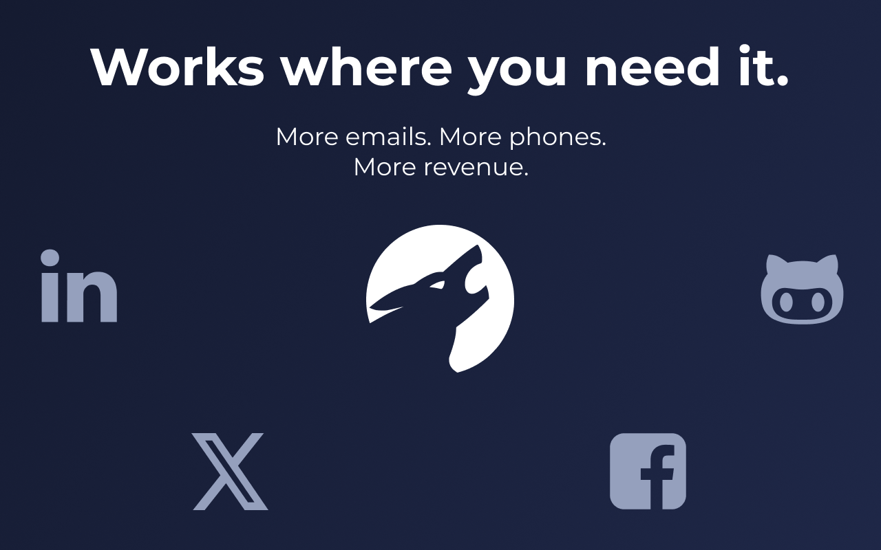 Phone and Email Finder by Nymeria截图4