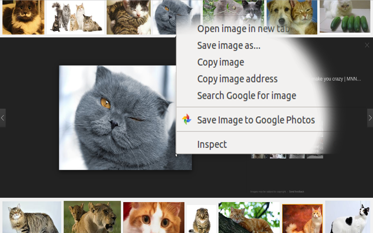 Save to Google Photos™ RE截图2