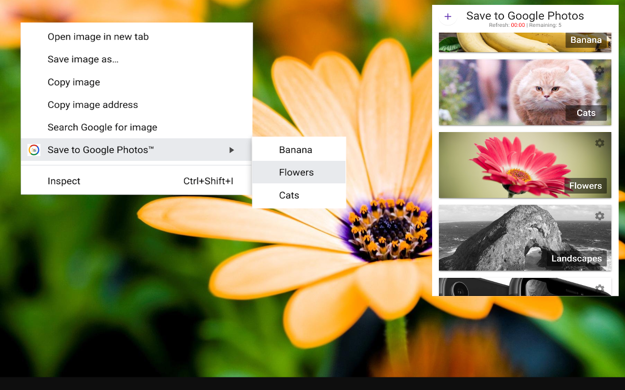 Save to Google Photos™ RE截图3