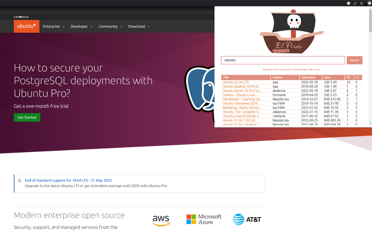 El Pirato - Quality Torrent Search Tool截图1