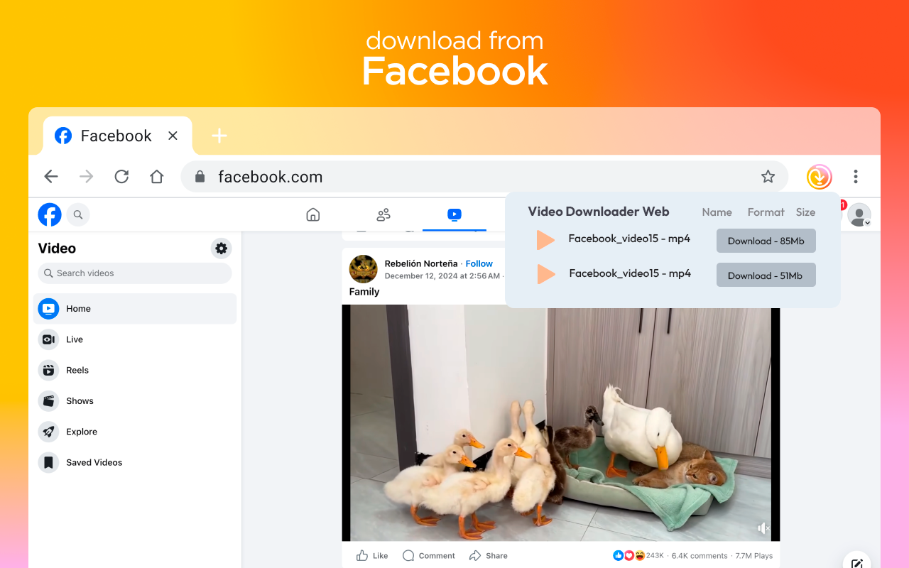 Video Downloader Web截图4