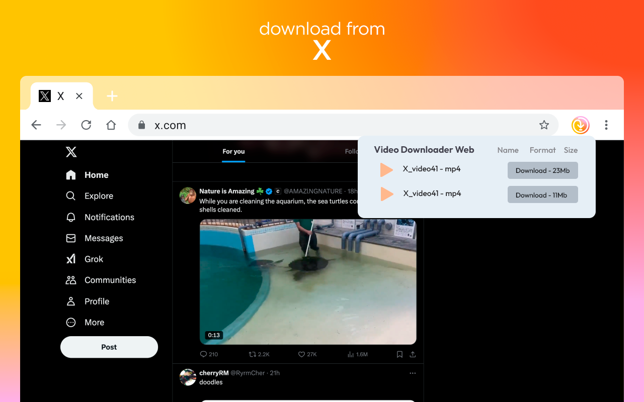 Video Downloader Web截图5