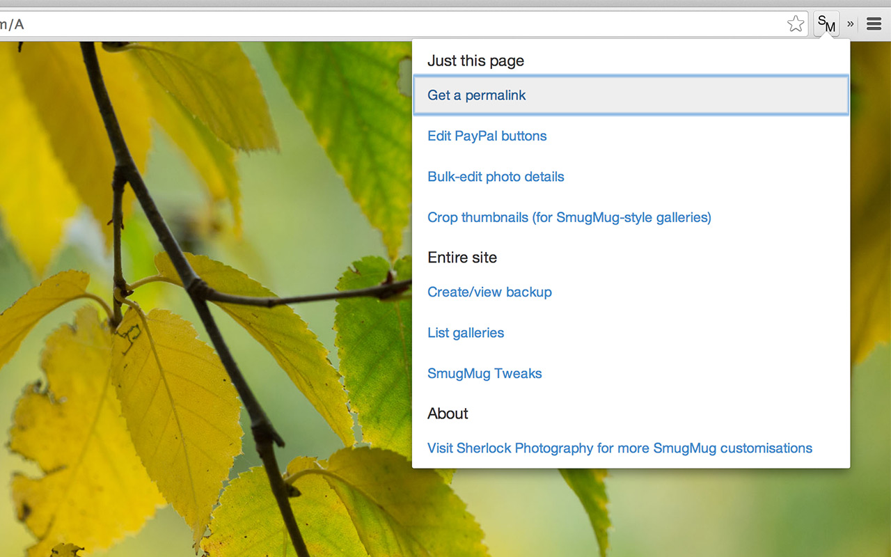 Unofficial SmugMug extension for Chrome截图2
