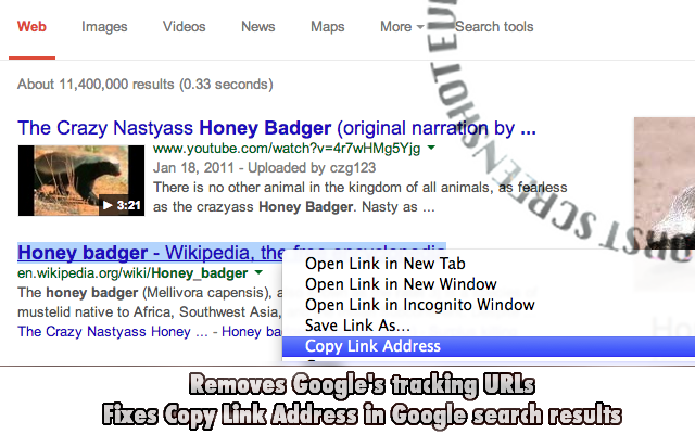 Fix Copy Link Address截图1