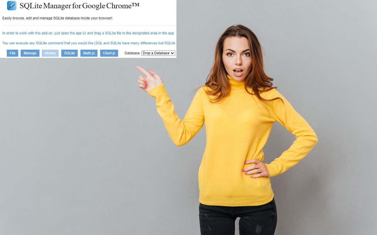 适用于Google Chrome的SQLite Manager。截图1