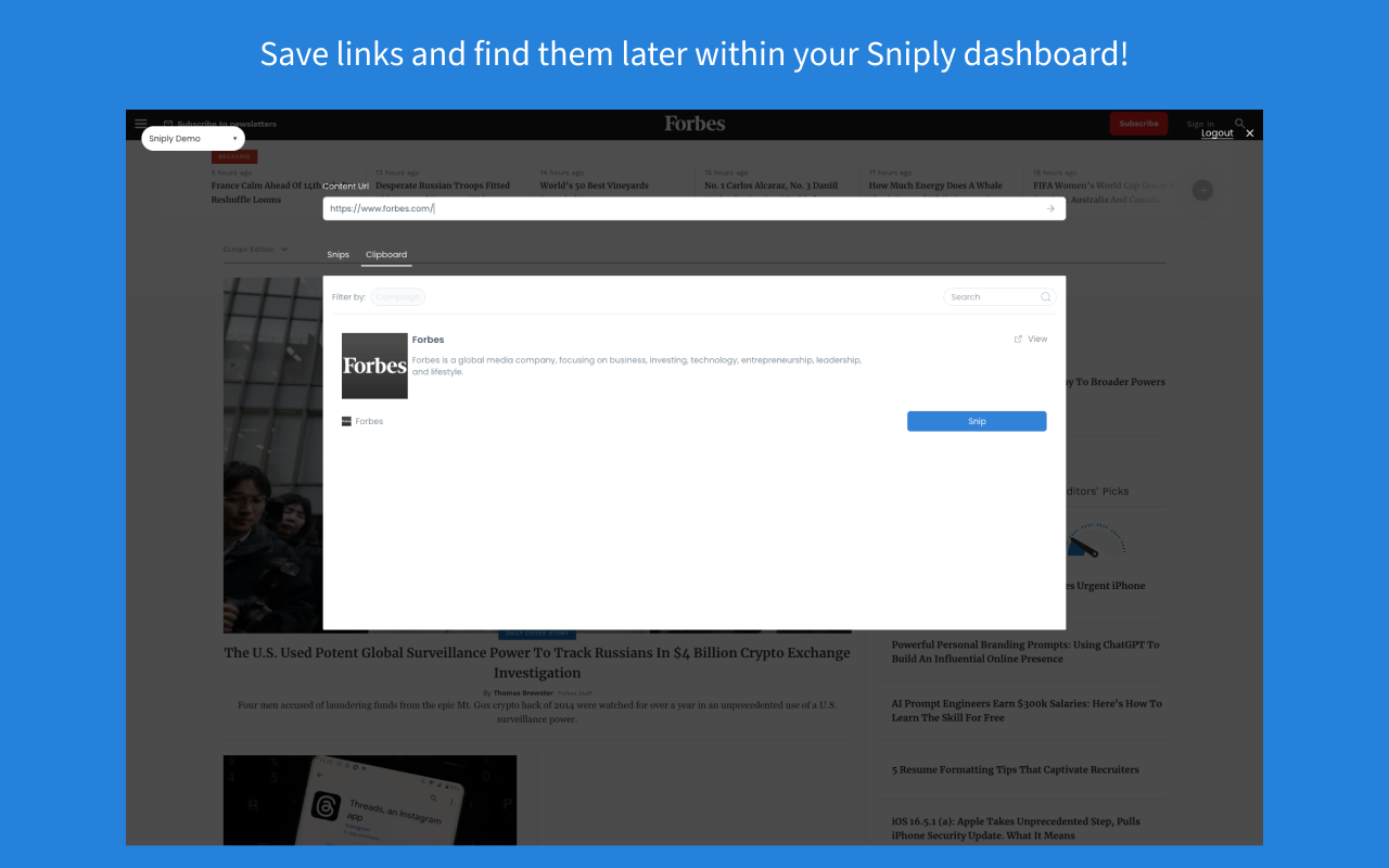Sniply Browser Extension截图1