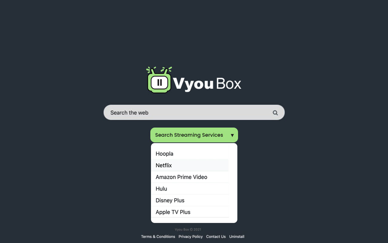 Vyou Box截图2