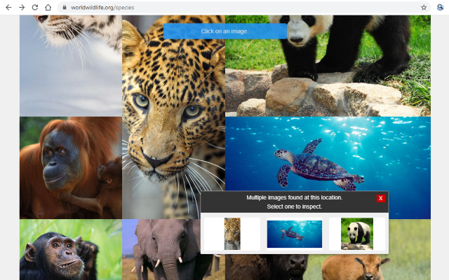 Image info截图2