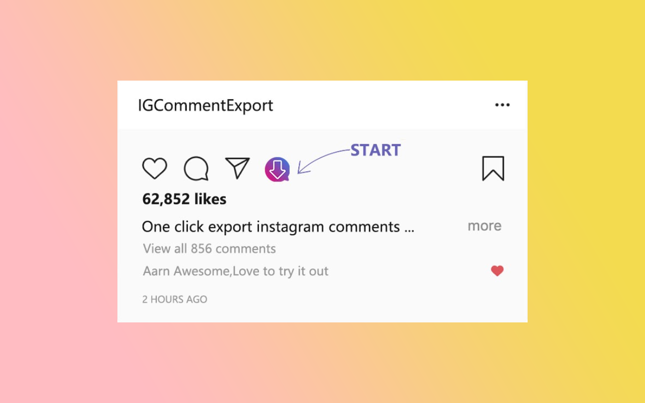 export instagram截图3