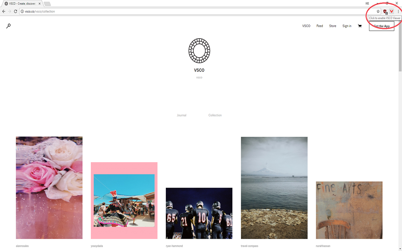 VSCO Viewer截图2