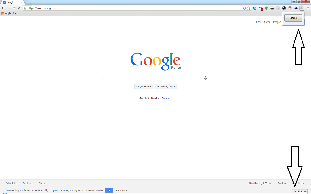 Website IP截图1