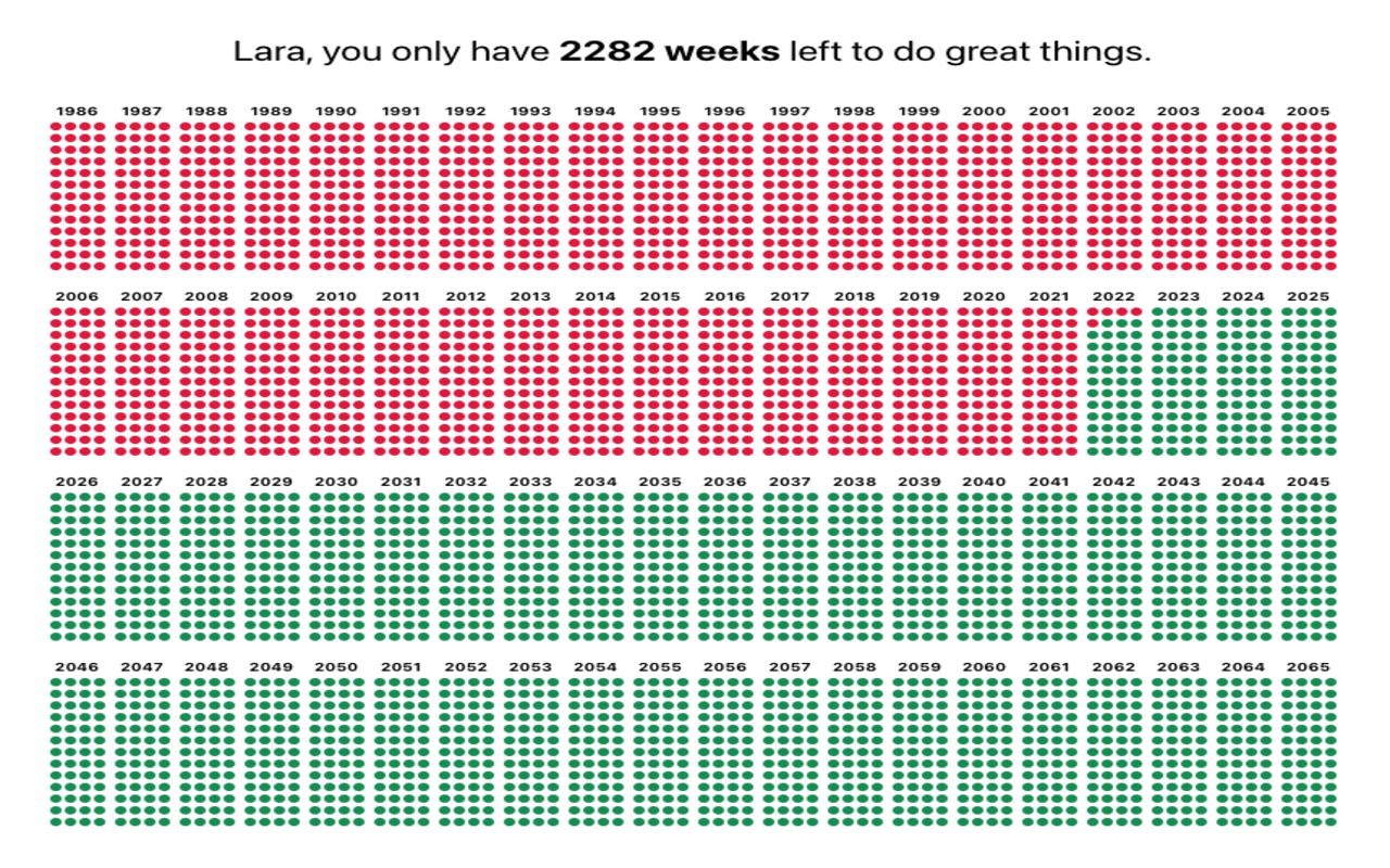 The Last Week截图1