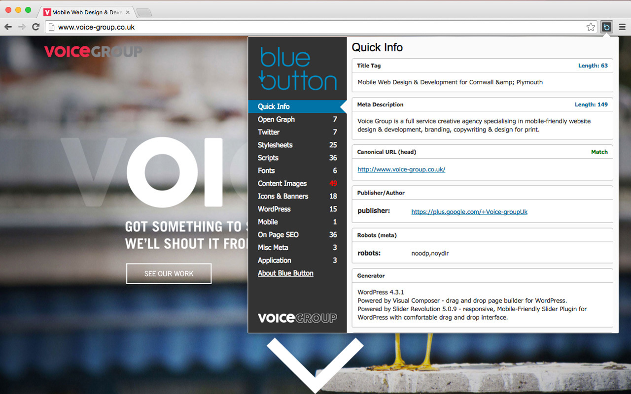 Blue Button | the webpage X-ray截图1