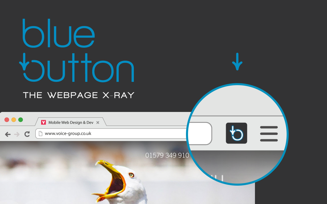 Blue Button | the webpage X-ray截图3
