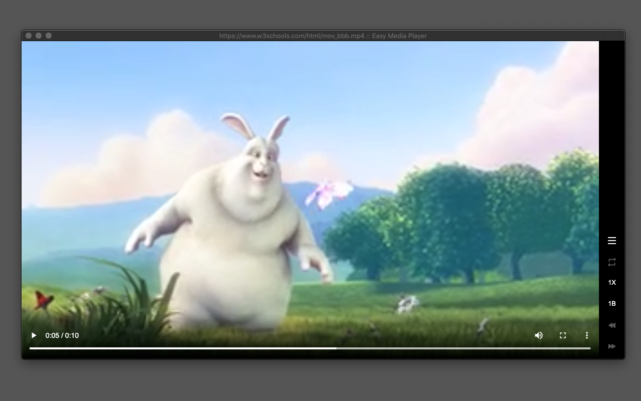 Video Player截图1