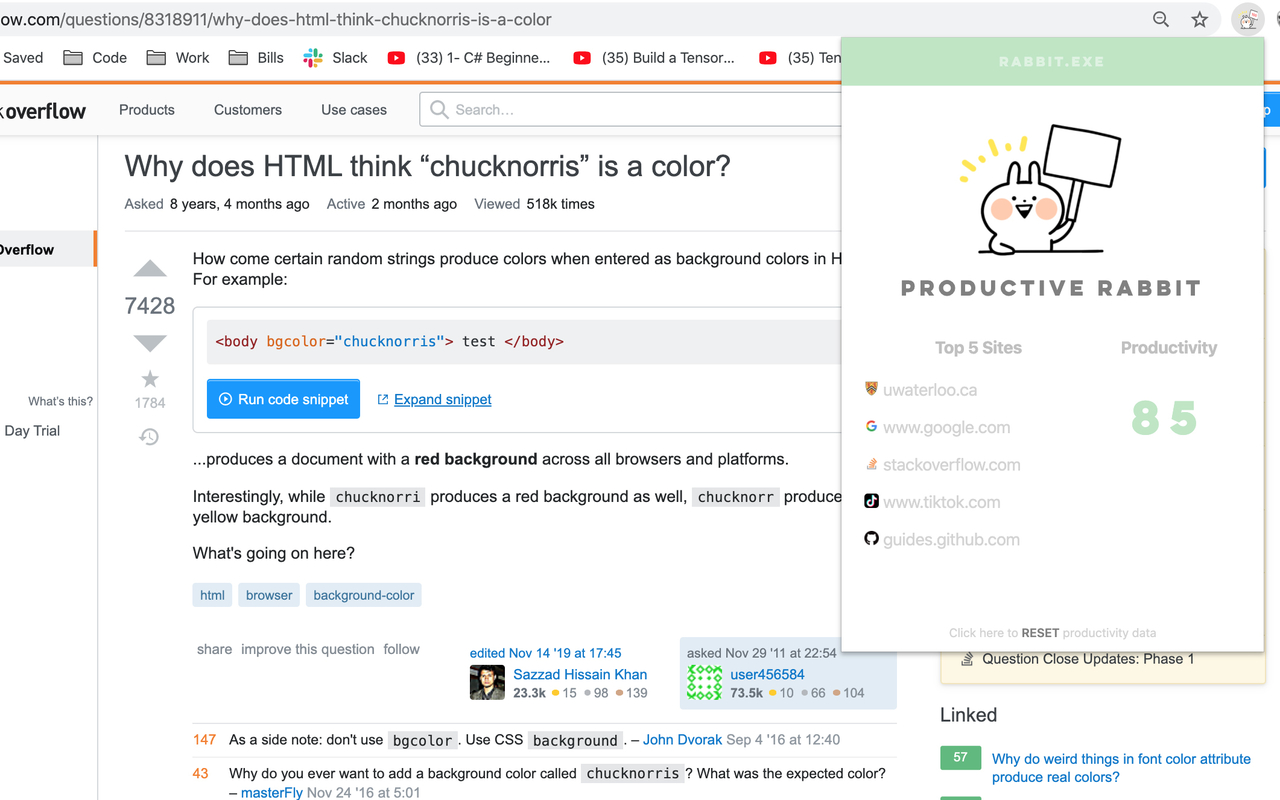 Rabbit: Productivity-Procrastination Tracker截图1