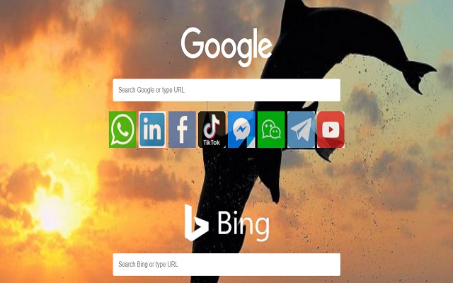 Dolphin Browser for PC version - New Tab BG截图1