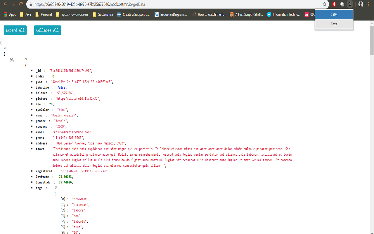 json-formatter截图1
