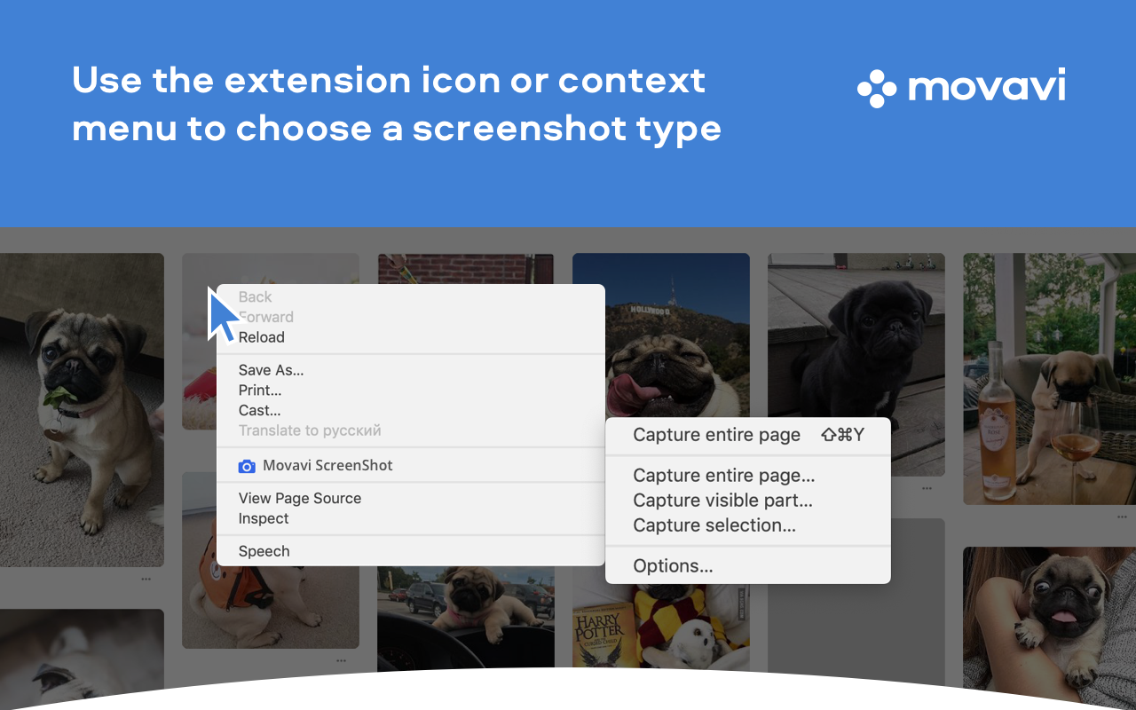 Movavi ScreenShot Chrome Extension截图1