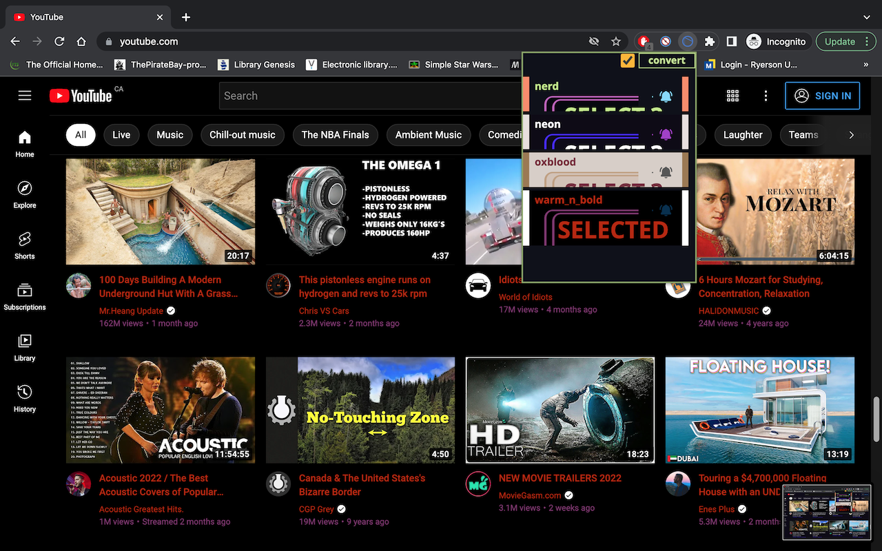 Youtube Customizer截图2
