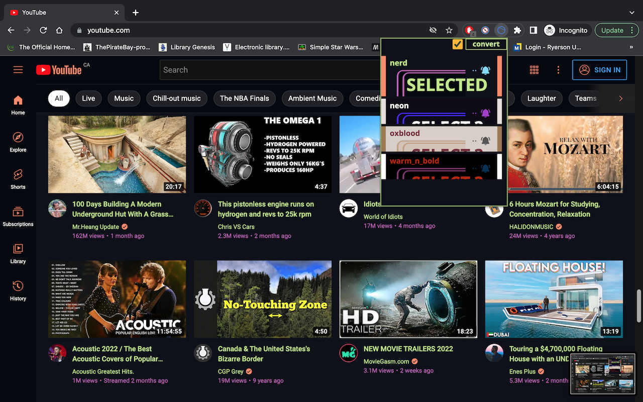 Youtube Customizer截图4