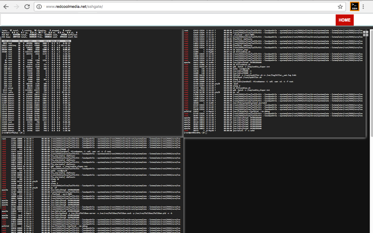 SSHGate ssh 客户端和终端仿真器截图3