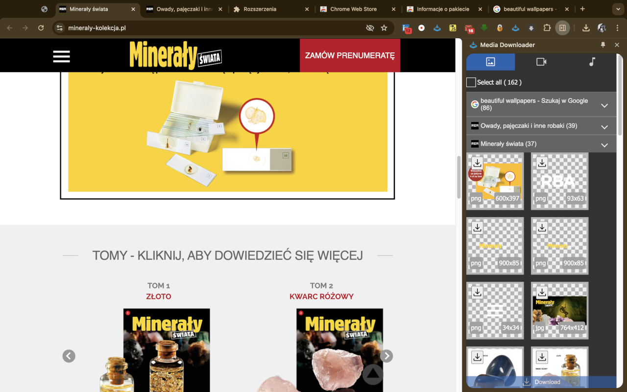 Media Downloader截图1