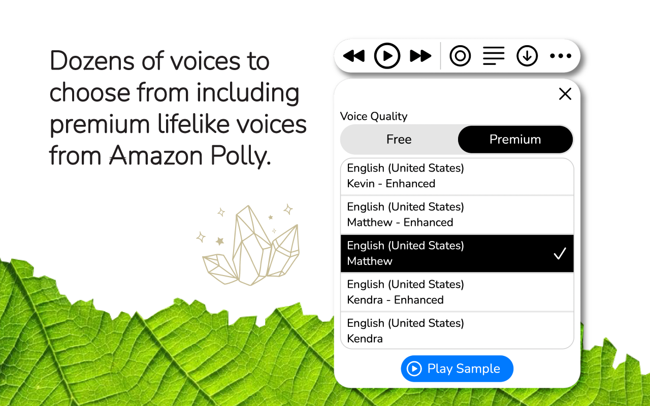 WebOutLoud - Text to Speech Web Reader截图1