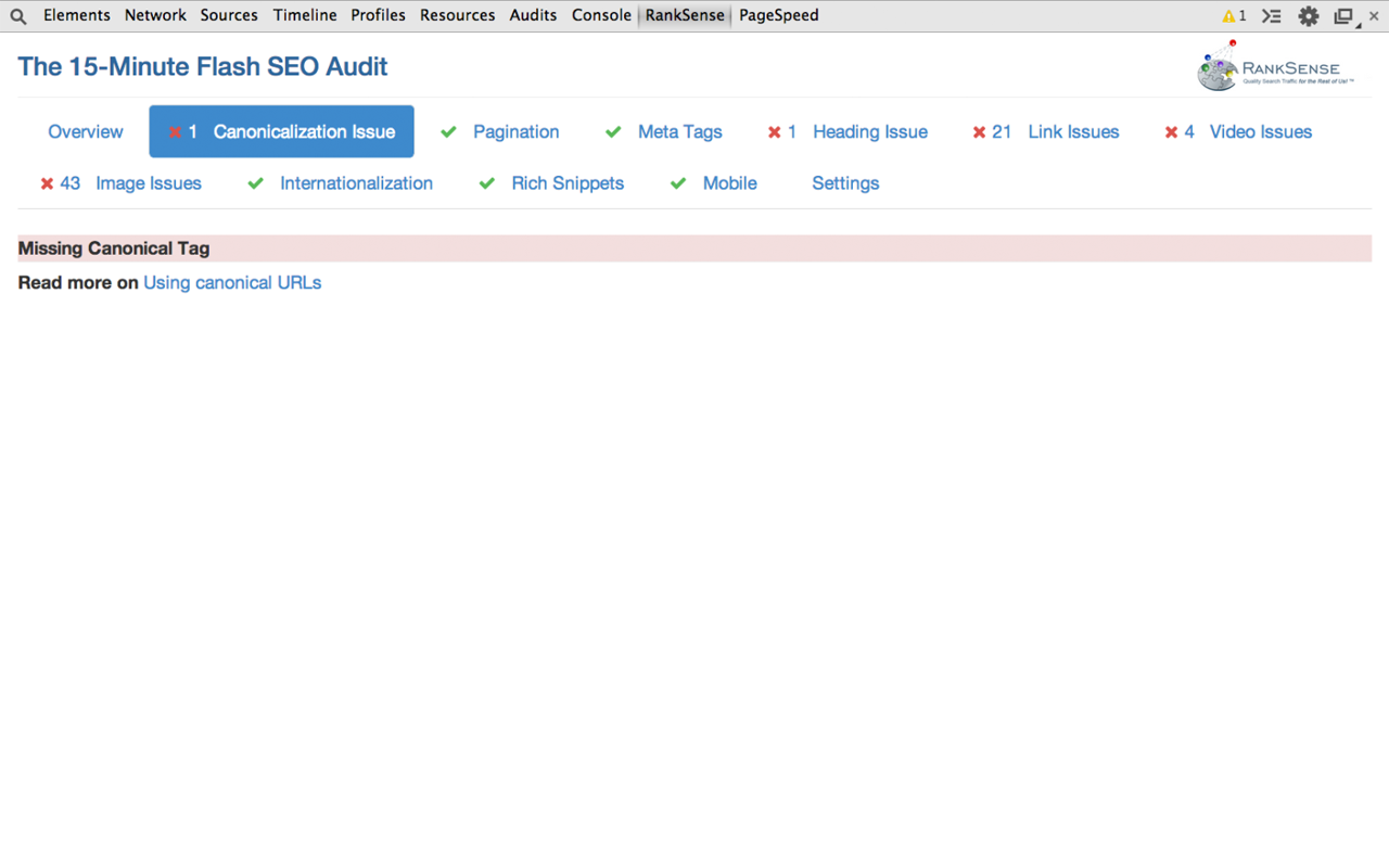 The 15-Minute SEO Audit截图2