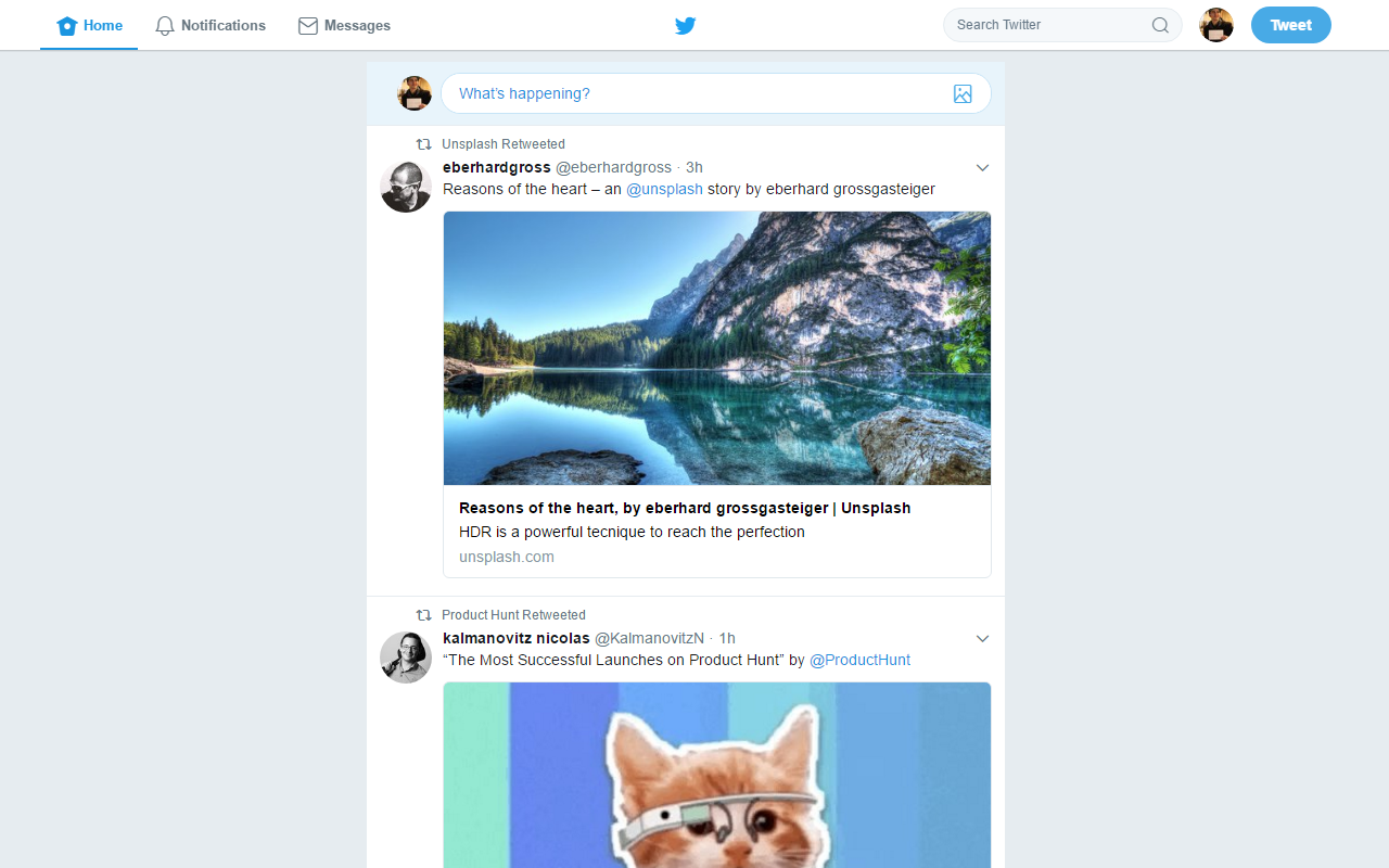 Twitter Sanitizer截图2