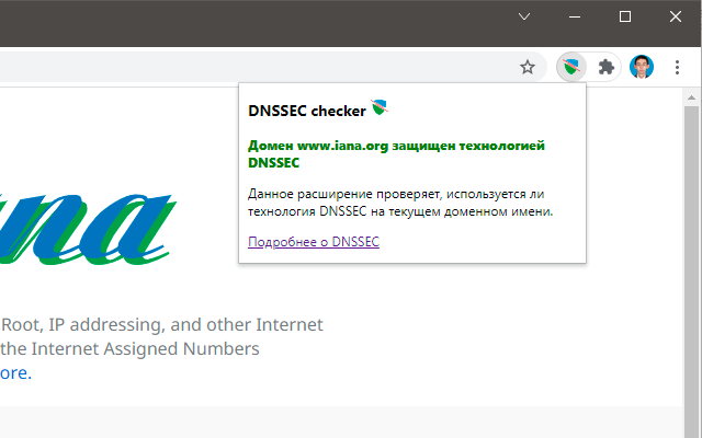 DNSSEC Checker截图2