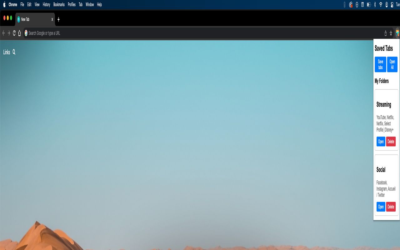 Tabs Saver截图2