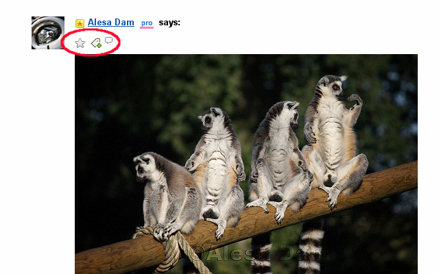 Flickr Photo Actions on Threads截图1