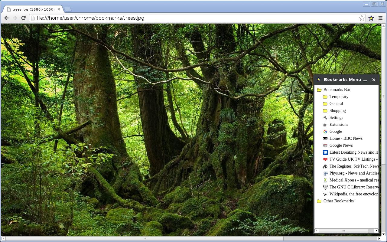 Bookmark Icon截图1