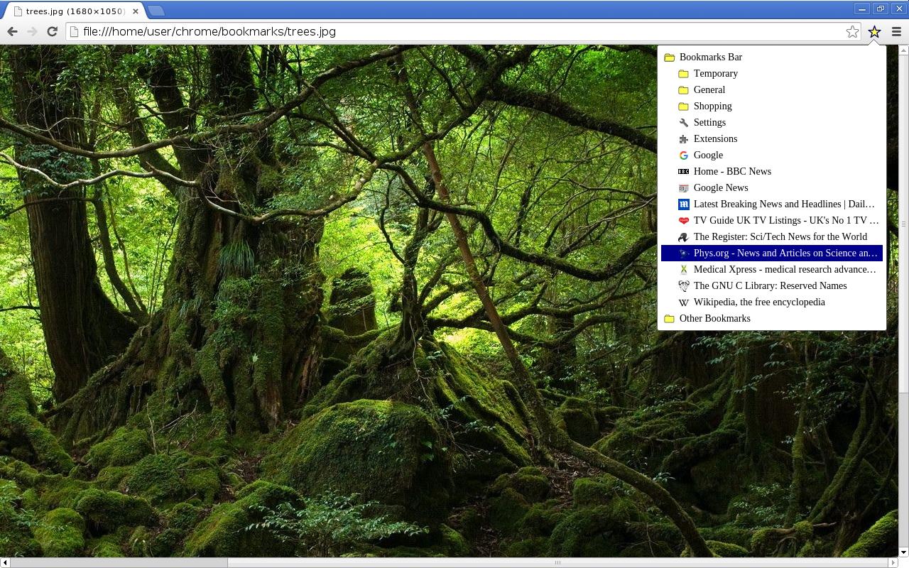 Bookmark Icon截图2