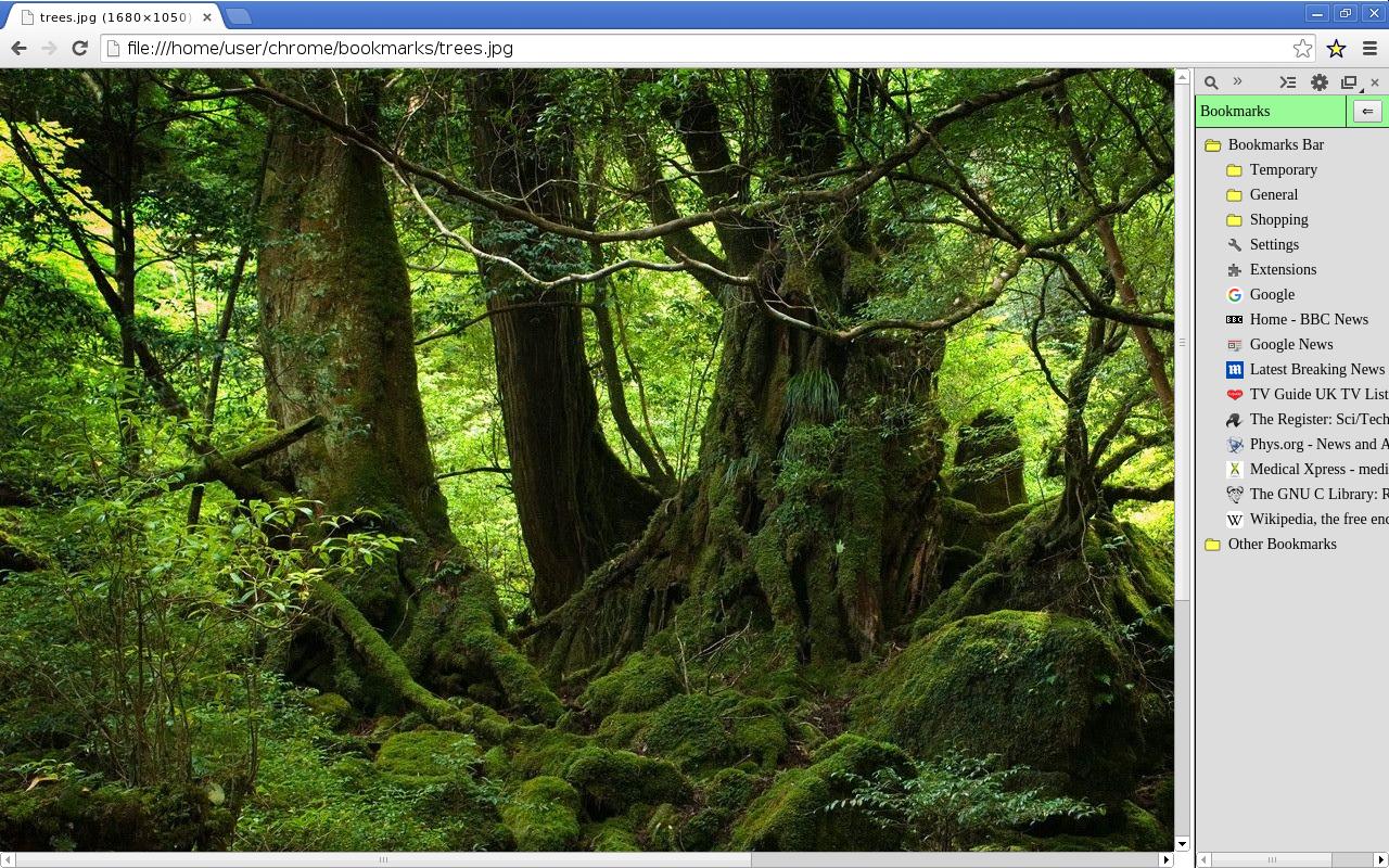Bookmark Icon截图3