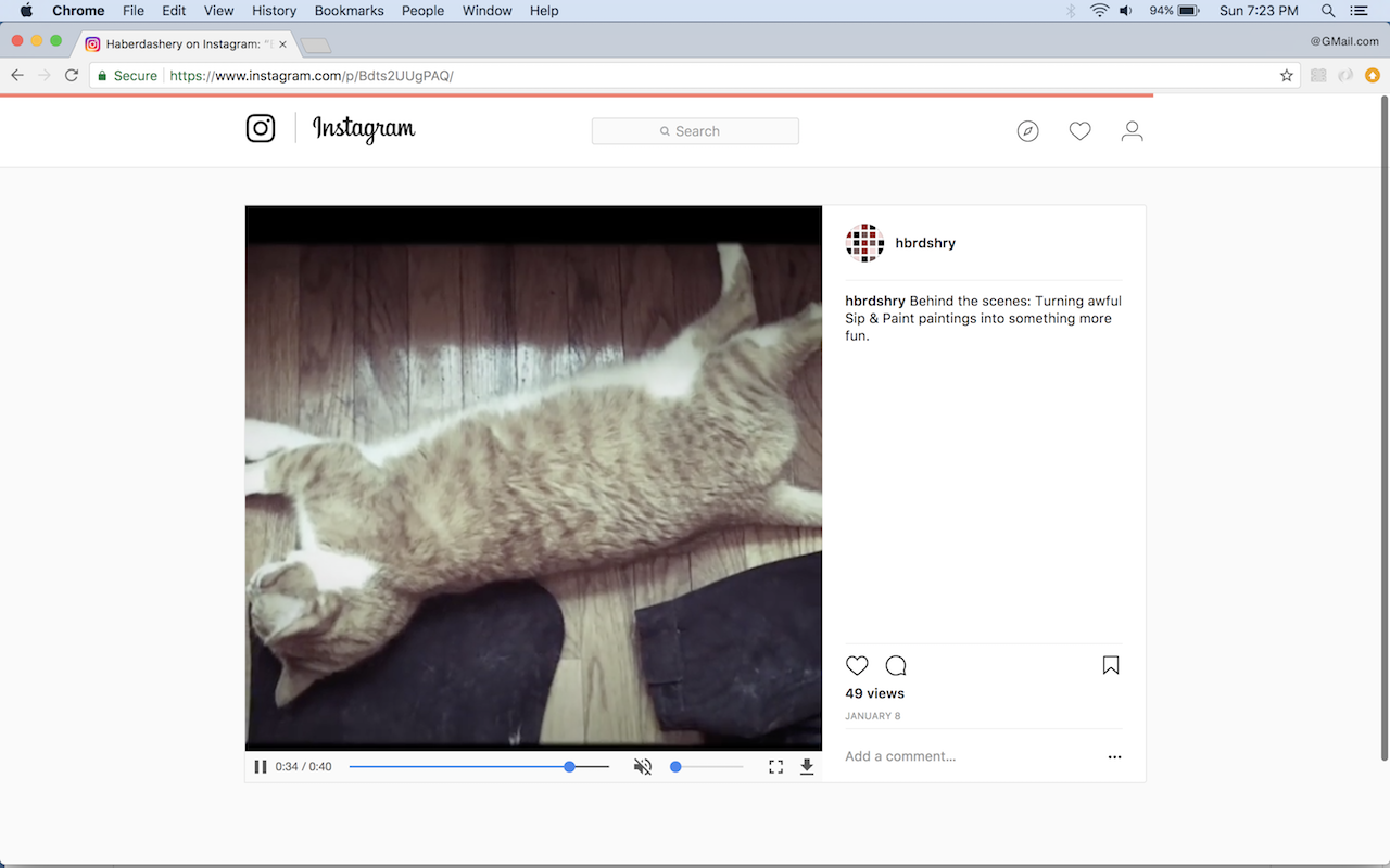 Video Scrubber for Instagram截图1