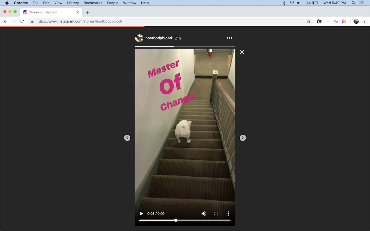 Video Scrubber for Instagram截图3