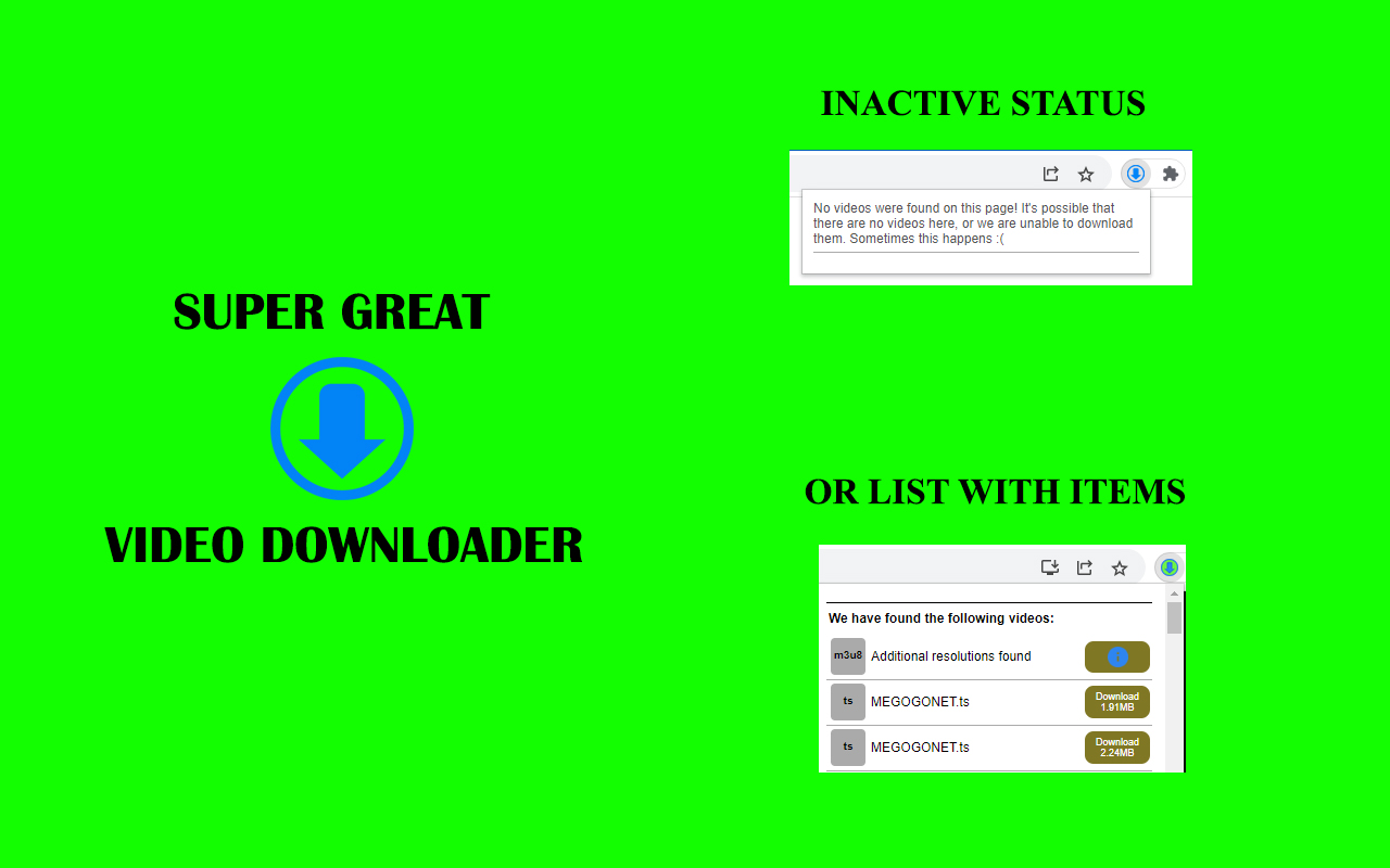 Super Great Video Downloader截图1