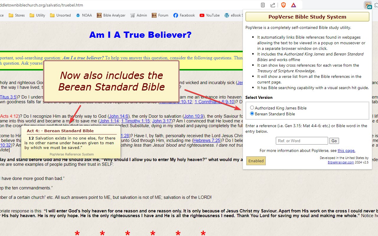 PopVerse Bible Study System截图1