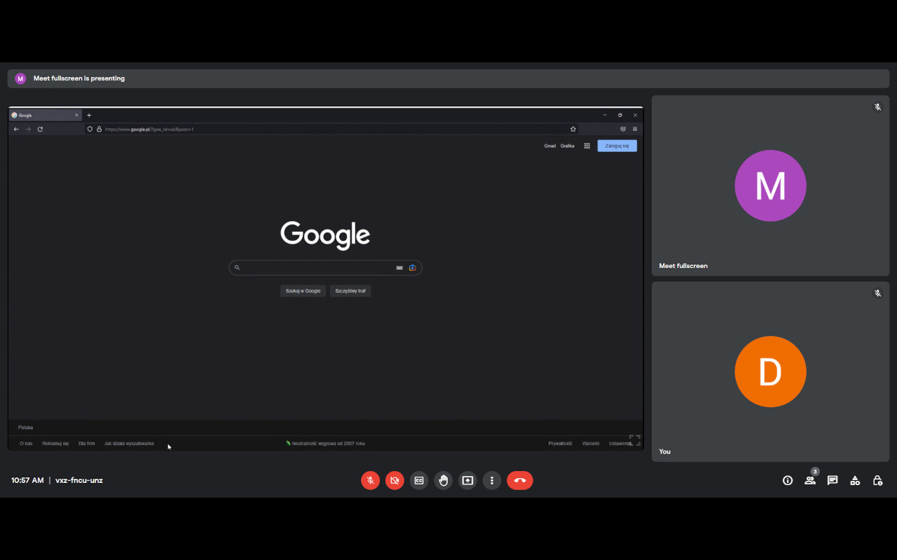 Google meet fullscreen截图2
