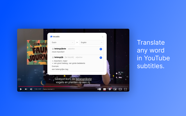Vocably: Language Flashcards截图1