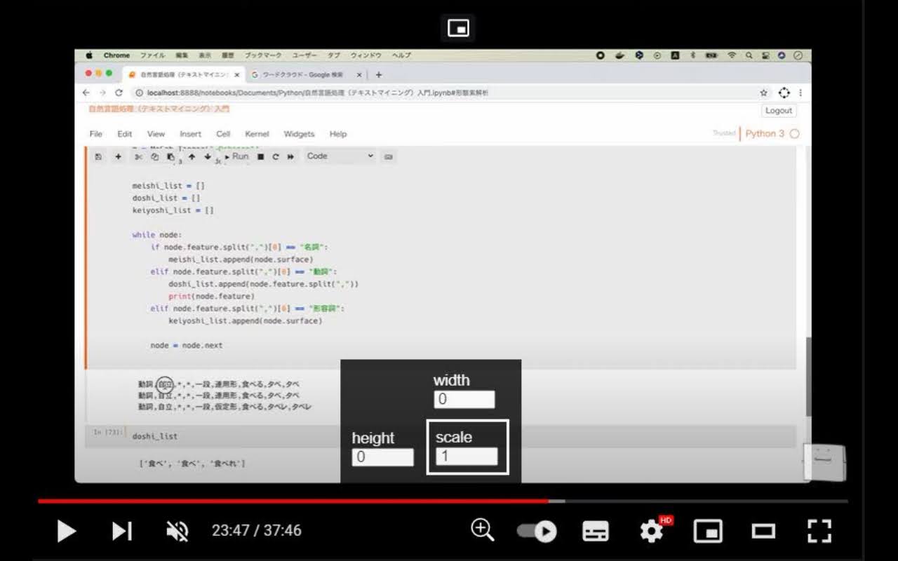 YouTube Zoom截图2