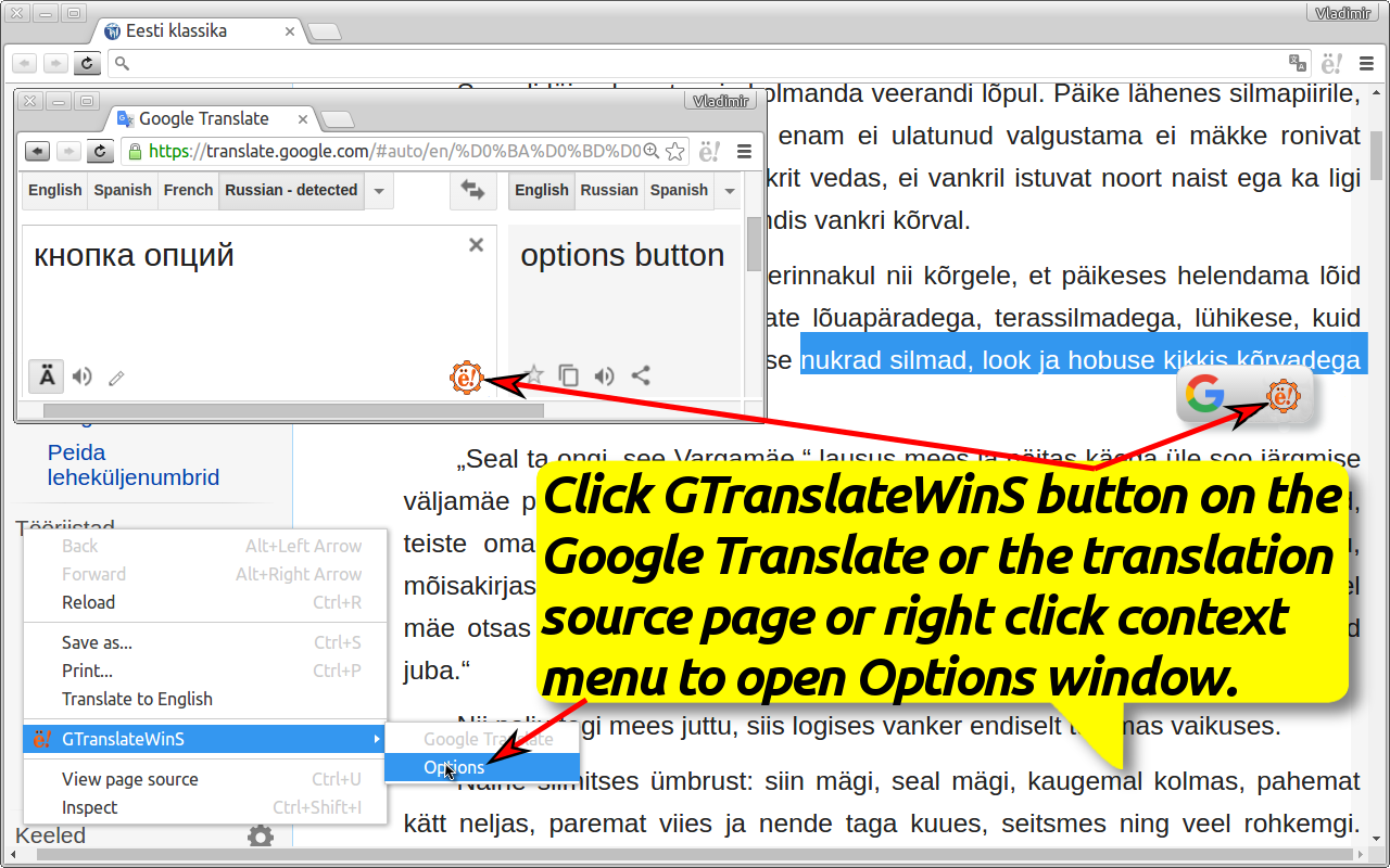 GTranslateWinS截图1