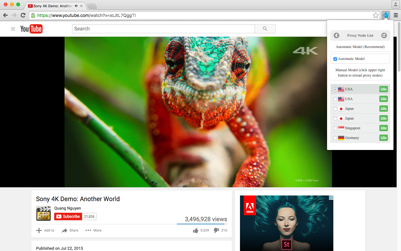 快速安全通道截图2